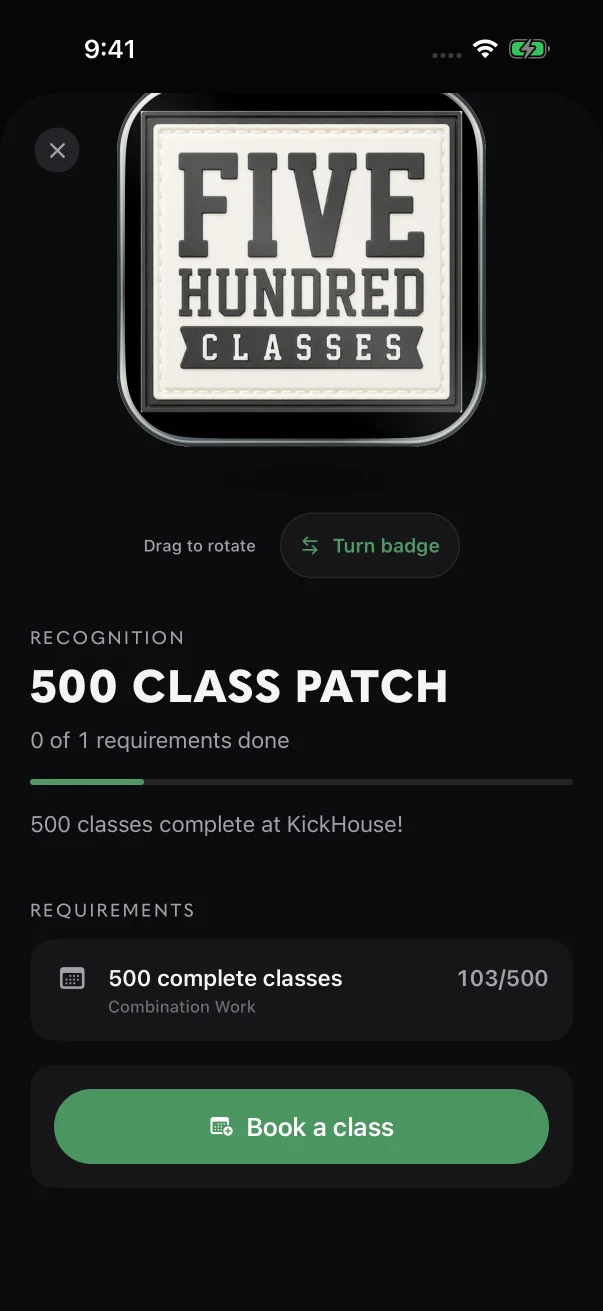 A class milestone counts up from the same class total, here 103 of 500.