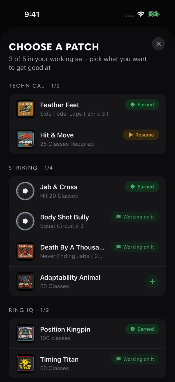 Choose a patch shows how many slots are in use and whether each patch is earned, active, paused or free to start.