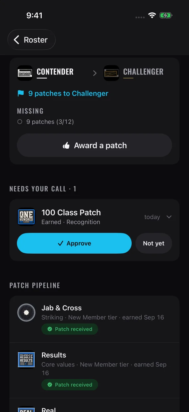 An earned patch waits under "Needs your call" with Approve and Not yet, and the patch pipeline starts below it.